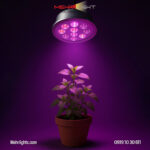 قیمت و خرید لامپ رشد گیاه وبسایت مهرلایت